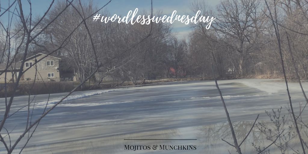 Wordless Wednesday: Thawing Minnesota